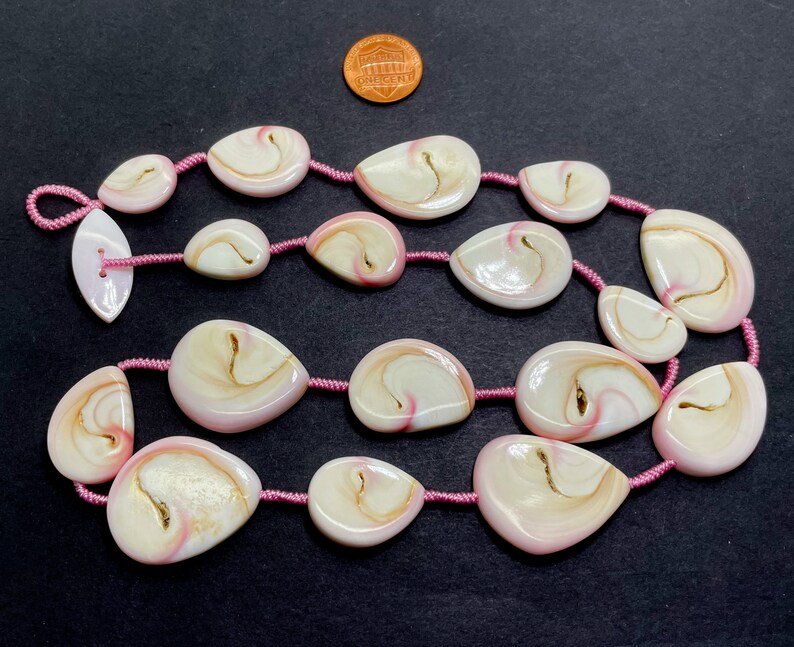 Puede incluir: Un collar de conchas rosa y blanco con un cord&oacute;n rosa. Las conchas tienen forma de l&aacute;grima y tienen un patr&oacute;n de espiral.