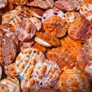 May include: A collection of orange and white seashells with various shapes and sizes. Some shells have a hole drilled through them. The shells have a textured surface and are arranged closely together, filling the frame.