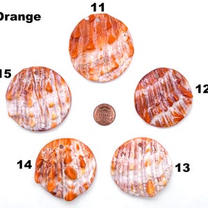 May include: Five orange and white shell pendants with a hole drilled at the top for stringing. The pendants are round and have a textured surface. A penny is included for size reference. The word "Orange" is in the upper left corner.