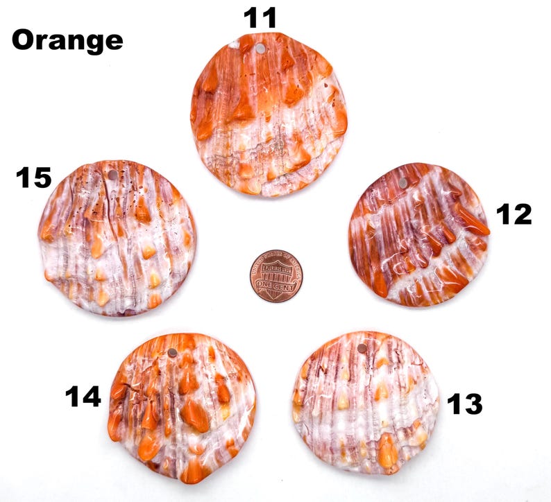 May include: Five orange and white shell pendants with a hole drilled at the top for stringing. The pendants are round and have a textured surface. A penny is included for size reference. The word "Orange" is in the upper left corner.