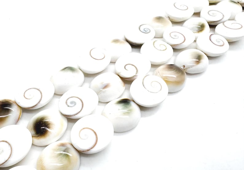 K&ouml;nnte beinhalten: Nahaufnahme von wei&szlig;en Muschelkernperlen mit Spiralmuster. Die Perlen haben ein nat&uuml;rliches, organisches Aussehen, einige zeigen braune und gr&uuml;ne Farbt&ouml;ne. Die Perlen sind in Reihen angeordnet.