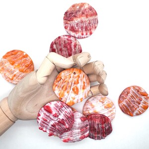 May include: A collection of colorful, round seashells in shades of orange, red, and white. The shells have a textured surface and a small hole at the top. The shells are scattered on a white background.