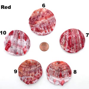 May include: Five red and white shell pendants with a hole drilled at the top for stringing. The shells have a natural, textured appearance with red streaks and patterns. A penny is included for size reference. The word "Red" is in the upper left corner.