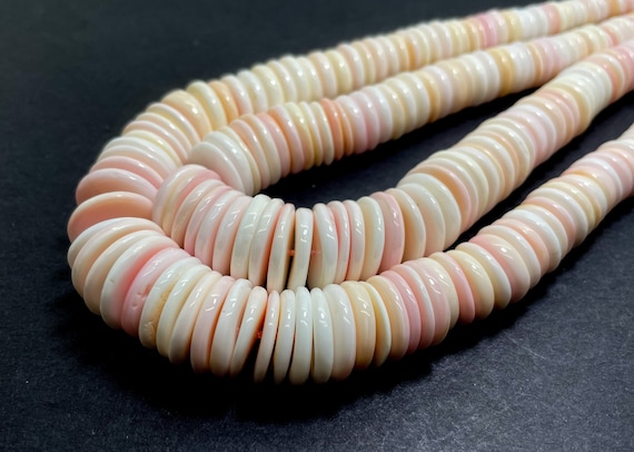 Natural Queen Conch Shell Graduated Beads, Pink Queen Conch Shell Flat Round Disc Smooth Polished Beads - PG275I
