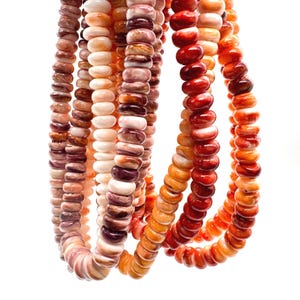 May include: Strands of colorful, polished shell beads in shades of cream, peach, orange, and deep red. The beads are strung together, creating a textured and vibrant display. The beads are round and have a slightly irregular shape.