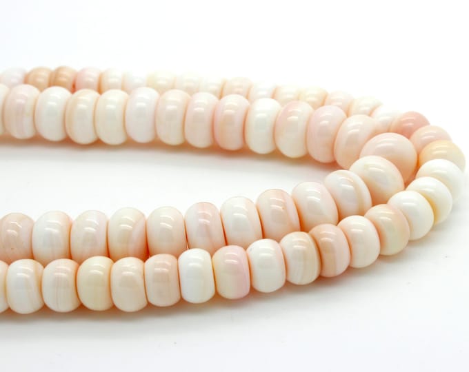 AAA Queen Conch, Natural Pink Queen Conch Shell Smooth Rondelle Gemstone Beads - (5mm x 8mm, 6mm x 10mm) - RD24