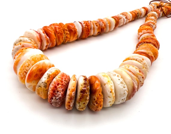 Rare Natural Spiny Oyster Shell Beads Graduated Raw Pitted Saucer One of a Kind 10mm-20mm Statement Strand Southwestern Jewelry Supply SO36