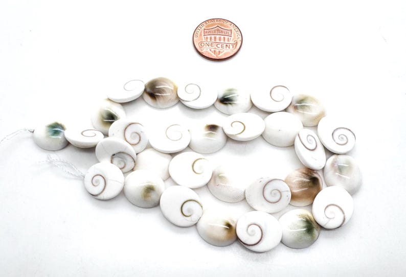 K&ouml;nnte beinhalten: Eine Kette aus wei&szlig;en Muschelkugeln mit Spiralmuster, pr&auml;sentiert auf wei&szlig;em Hintergrund. Eine Ein-Cent-M&uuml;nze liegt zur Gr&ouml;&szlig;enbestimmung &uuml;ber den Kugeln. Die Perlen haben ein nat&uuml;rliches, organisches Aussehen.