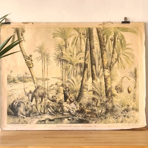 VINTAGE Prachtig oud schoolbord lesbord dadelpalm Wachsmuth Leipzig