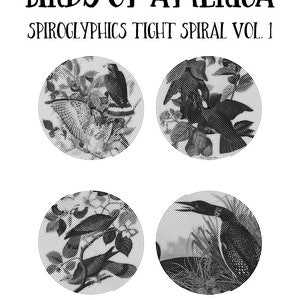 20 Birds Of America Spiroglyphics Tight Spiral Printable Vol.1, Instant Download Printable Coloring Pages