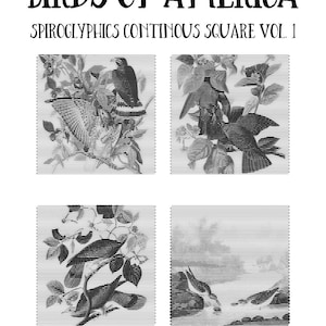 May include: A black and white illustration of four different birds in a continuous square pattern. The title of the illustration is "Birds of America: Spirographics Continuous Square Vol. 1".
