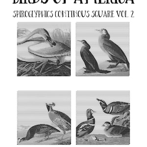 25 Birds Of America Spiroglyphics Continuous Square Printable Vol.2, Instant Download Printable Coloring Pages