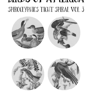 20 Birds Of America Spiroglyphics Tight Spiral Printable Vol.3, Téléchargement instantané Pages à colorier imprimables