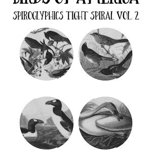 20 Birds Of America Spiroglyphics Tight Spiral Printable Vol.2, Instant Download Printable Coloring Pages