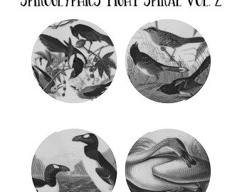20 Ptaków Ameryki Spiroglyphics Tight Spiral Printable Vol.2, Natychmiastowe Pobieranie Wydrukowalnych Kolorowanek