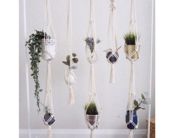 Macrame Plant Hanger