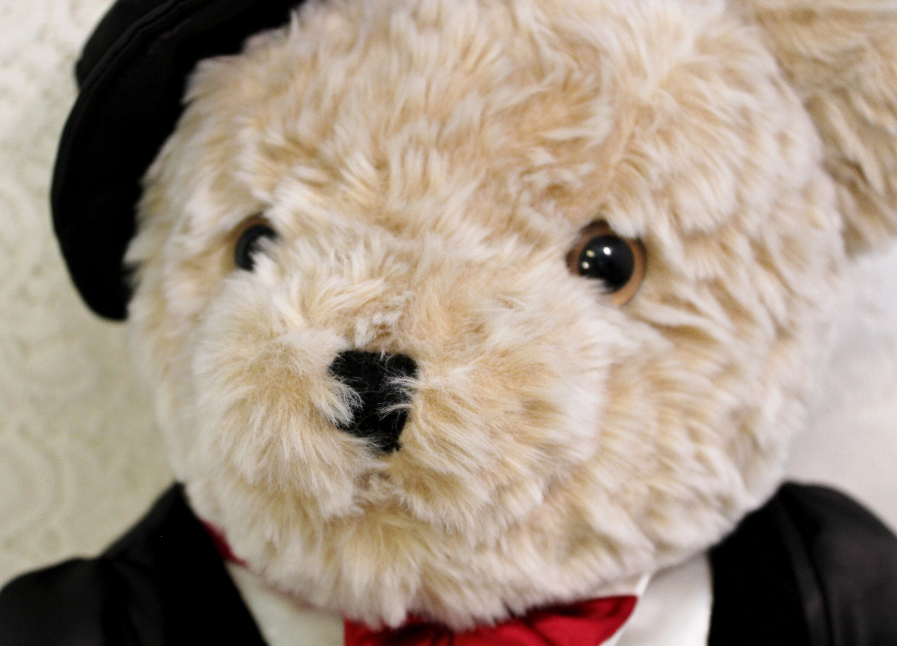 ビンテージ、テディーベアー HOLIDAY IN NEW YORK 2000 Ty Beanie Baby “2000 Holiday Teddy” the White Holiday Bear Wearing