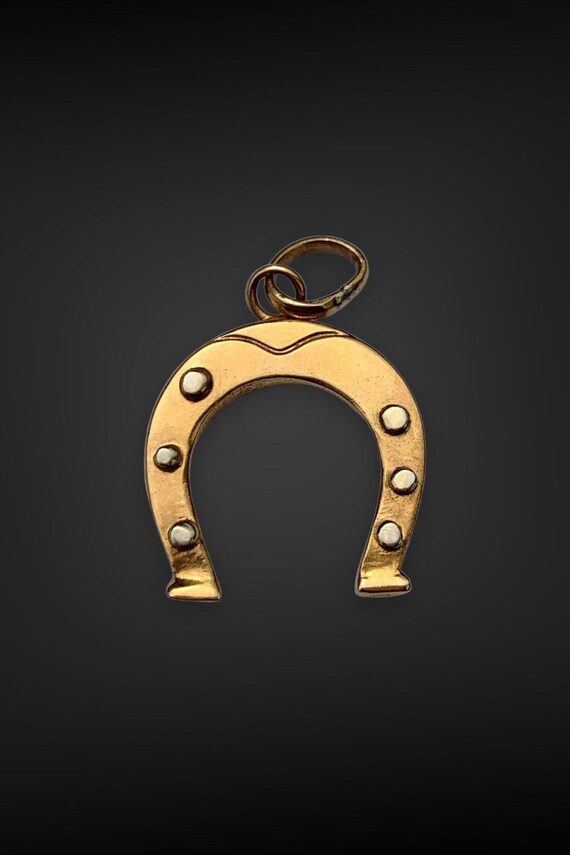 925 Sterling Silver Cubic Zirconia Ciondolo A Ferro di Cavallo Collana di Cavall