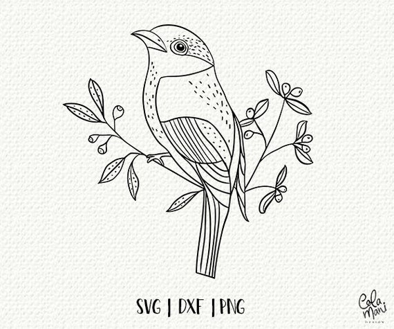 Download Bird Svg Hand Drawn Svg Floral Branches Clipart Nature Flower Doodle Vintage Home Decor Svg Png