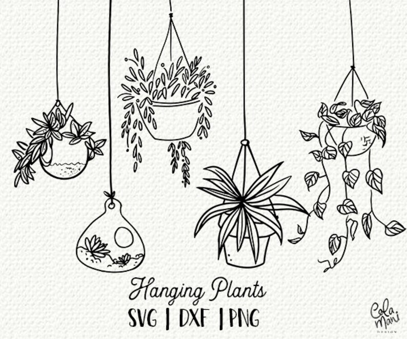 Download Hanging Plants SVG Hand Drawn Clipart Pots Terrarium | Etsy