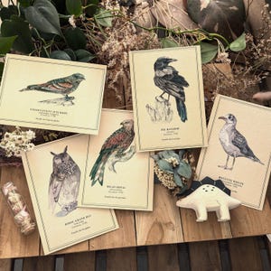 Riproduzione artistica di uccelli naturalisti vintage - Illustrazioni originali (A5 e A6)