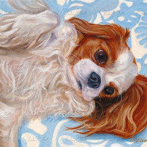 Cavalier King Charles Spaniel, art print by Charlene Elliott, Blenheim Cavalier King Charles Spaniel, Cavalier Art, Cavalier Gift