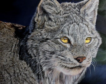 Lynx du Canada - impression d'art intitulée « Lynx du Canada » par Charlene Elliott - Art réalisme magique chat sauvage 20 x 10 po