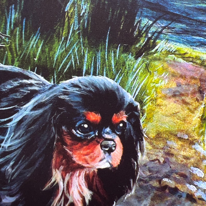 Cavalier King Charles Spaniel, impression d'art par Charlene Elliott, Cavalier King Charles Spaniel noir et feu, art cavalier, cadeau cavalier image 6