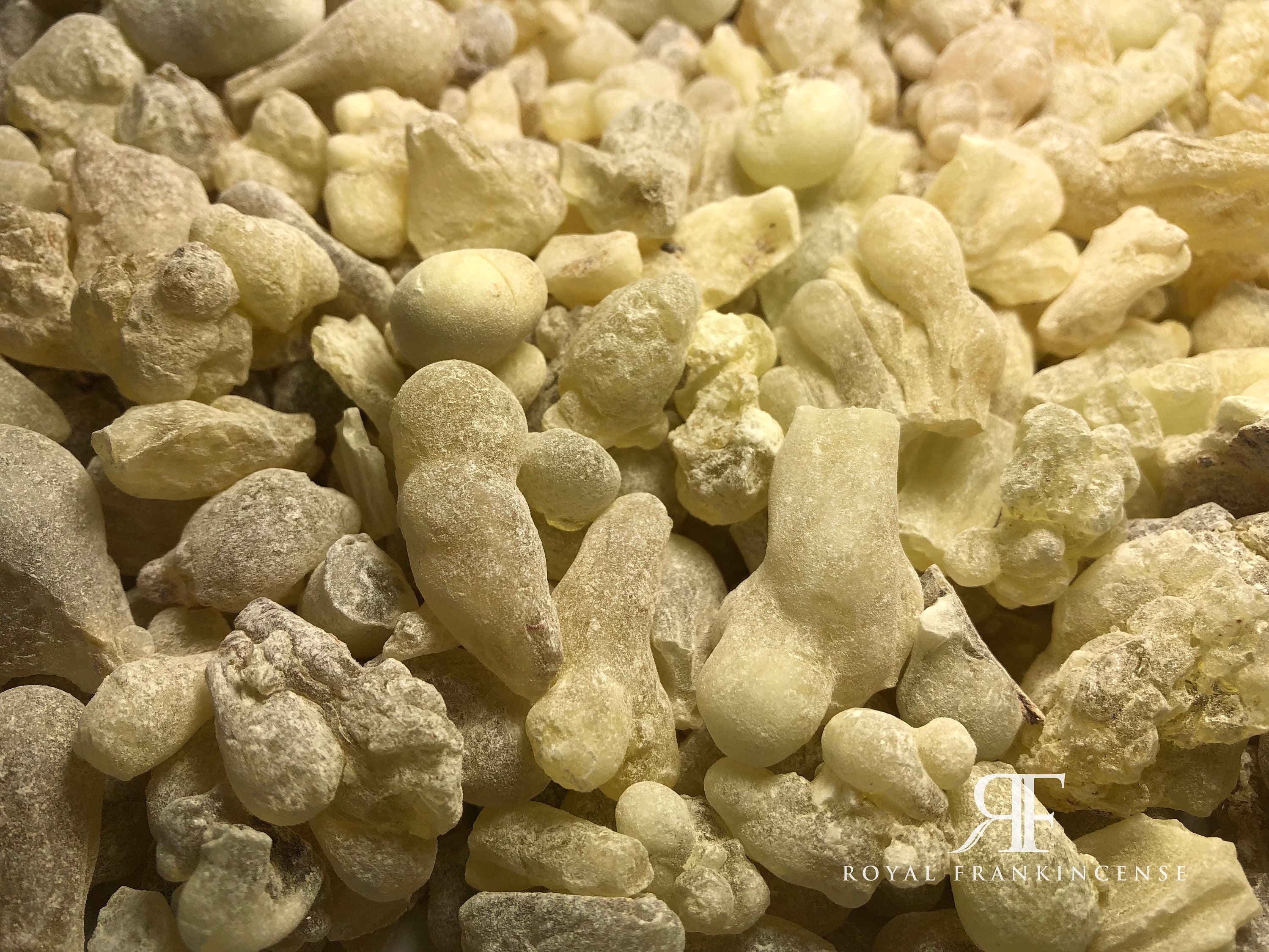 Omani frankincense - Etsy 日本