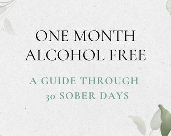 30 Day Alcohol Free Guide | Alcohol Free Challenge Workbook | Sober Curious Journal | Digital Recovery Toolkit