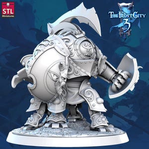 3D-utskrivna STL-miniatyrer Guardian Construct Core-karaktärer Frost City 3 28-32 mm Krigsspel D&D