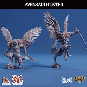 Impression 3D de Sordane Publishing Frosts of Issenzar - A Sordane Stories Renders Frosts of Issenzar Avensari Hunter - Sky Tamers 28 mm - 32 mm D&D