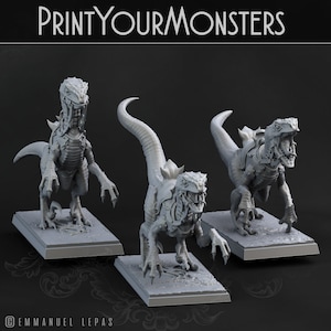 3D Printed Print Your Monsters Dark Elves Raptor Mounts Set 28mm - 32mm D&D Wargaming