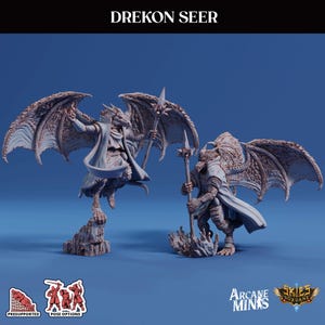 3D Printed Sordane Publishing Frosts of Issenzar - A Sordane Stories Renders Frosts of Issenzar Drekon Seer Younger 28mm - 32mm D&D