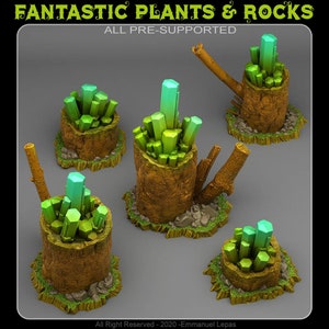Fantastic Rocks and Plants - Etsy