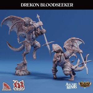 3D Printed Sordane Publishing Frosts of Issenzar - A Sordane Stories Renders Frosts of Issenzar Drekon Bloodseeker 28mm - 32mm D&D Wargaming