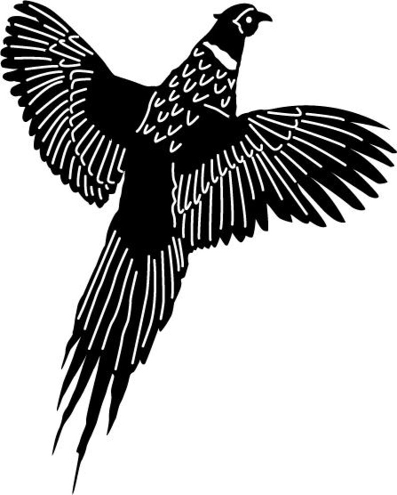 Pheasant Wing Pattern Pheasant Collection Cad Cut File - Etsy