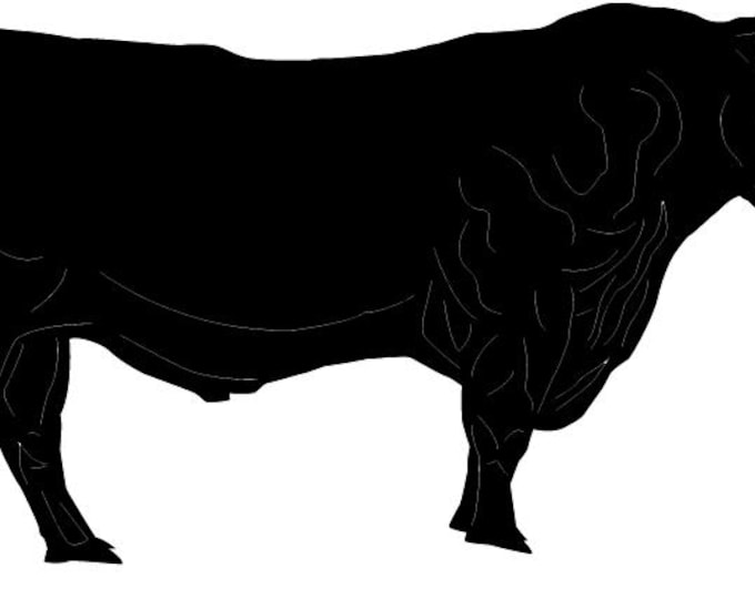 Bull cad cut file