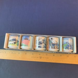 vintage Japanese Saki set in original box