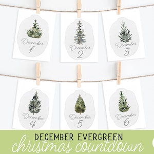 December Evergreen Christmas Countdown Cards, Kerst afdrukbaar, Groenblijvende bomen, Aftellen naar Kerstmis, December Advent Countdown