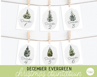 December Evergreen Christmas Countdown Cards, Christmas printable, Evergreen trees, Count Down to Christmas, December Advent Countdown
