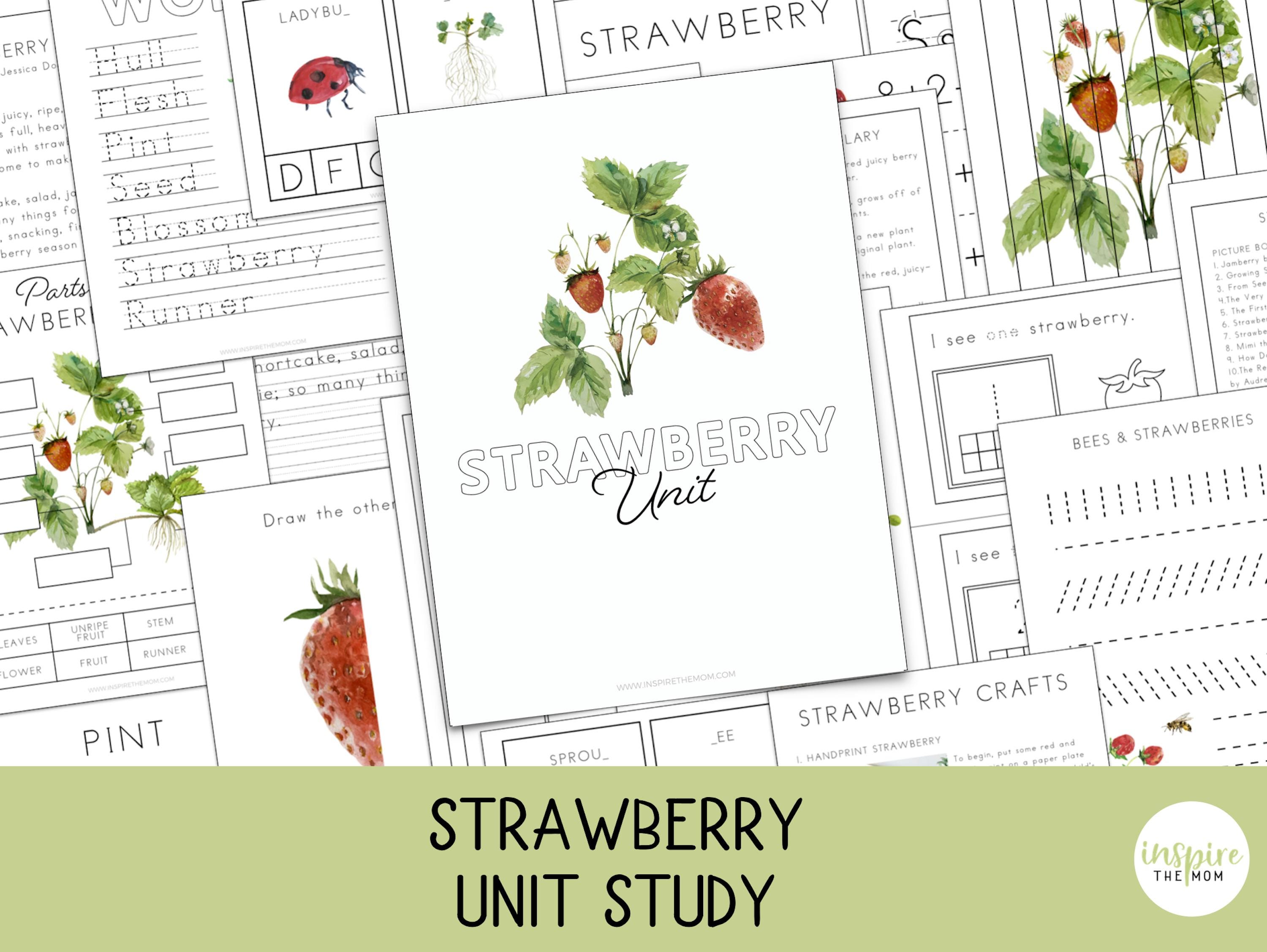 Strawberry Lessons Strawberry Unit Study | Life Cycle | Poem Activities | Spring and ...