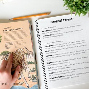 May include: An open educational workbook featuring a page about the Northern Giraffe with illustrations and a page titled Animal Terms with definitions for vertebrate, invertebrate, amphibian, bird, mammal, reptile, fish, insect, and other invertebrate.