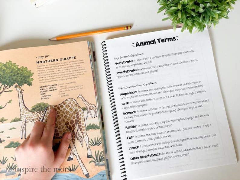 May include: An open educational workbook featuring a page about the Northern Giraffe with illustrations and a page titled Animal Terms with definitions for vertebrate, invertebrate, amphibian, bird, mammal, reptile, fish, insect, and other invertebrate.