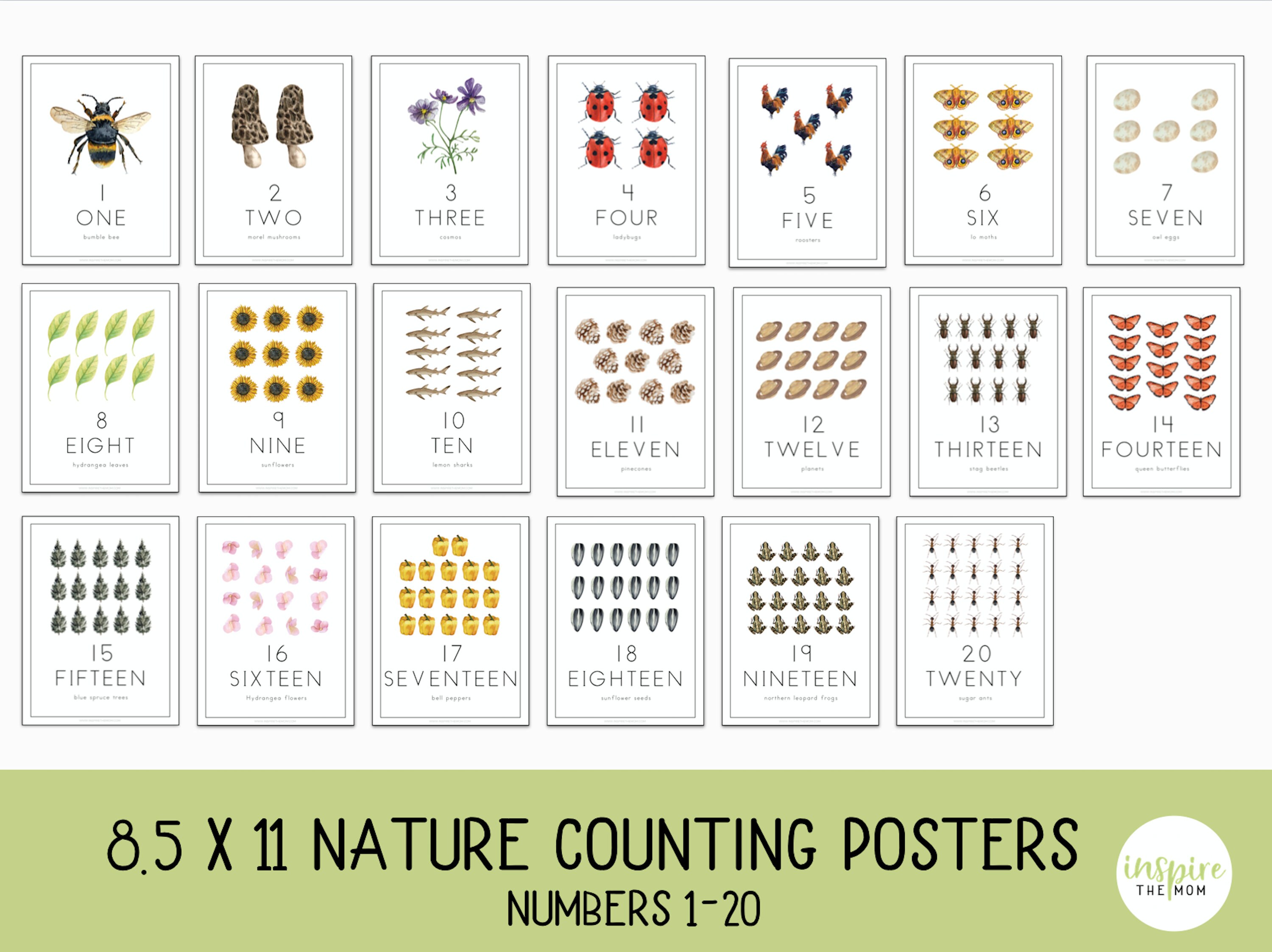 Nature Counting Wall Art, 8.5 X 11 Prints, Numbers Wall Art, Nature ...