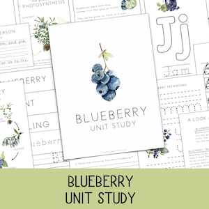 Blaubeere Einheitsstudie für Kinder | Lebenszyklus | Natur-Aktivitäten | PreK–3 | Montessori & Charlotte Mason PDF | Homeschool oder Klassenzimmer |