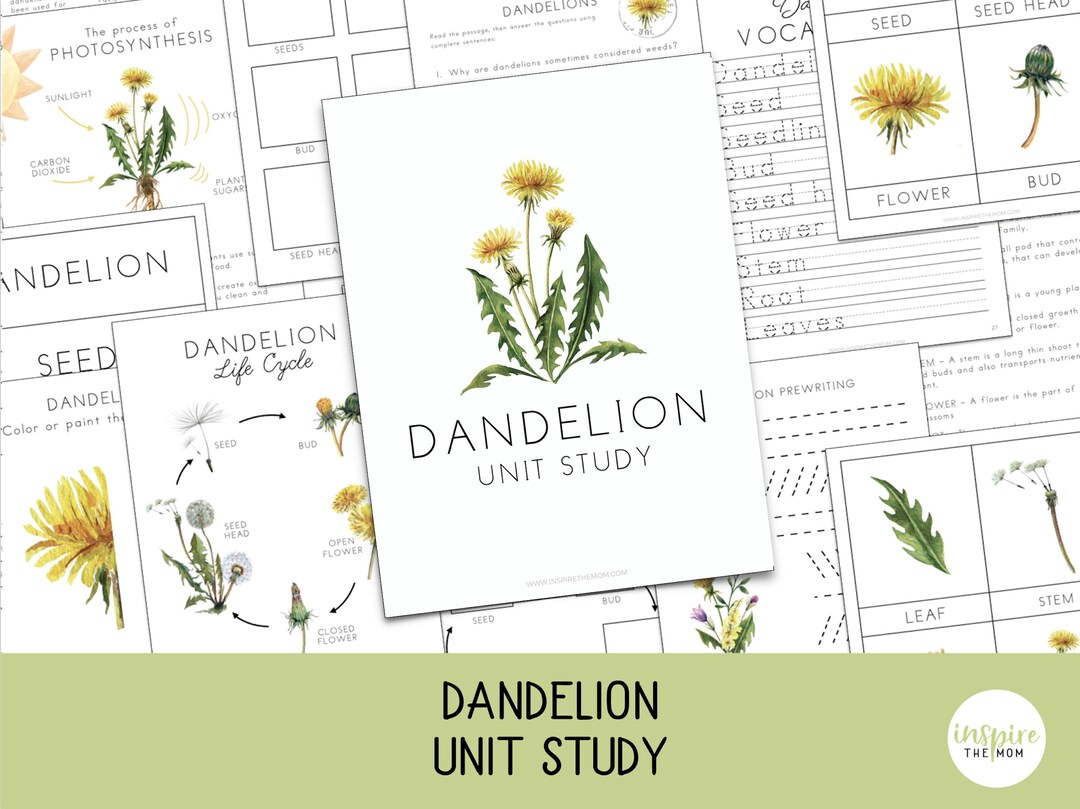Dandelion Unit Study for Kids | Life Cycle an Nature Activities | Prek ...