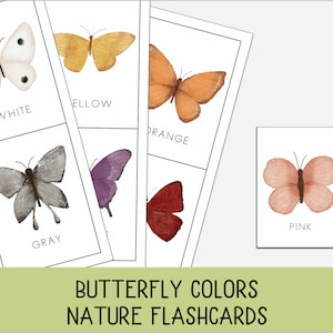 Butterfly colors flashcards,  Nature printable, Preschool Colors, Color Flashcards, Montessori Nomenclature Cards, Colors Labeling activity,