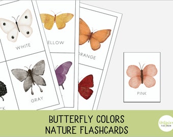 Butterfly colors flashcards,  Nature printable, Preschool Colors, Color Flashcards, Montessori Nomenclature Cards, Colors Labeling activity,