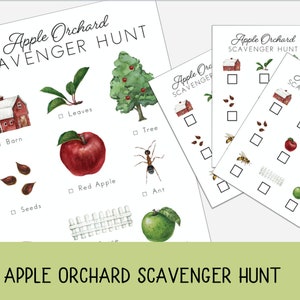 Apple Orchard Scavenger Hunt, for Prek-2nd grade, fall activity, Outdoor Scavenger hunt, Charlotte Mason, Montessori, Homeschool, Apple Game